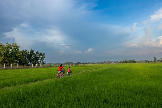 Foto twee kinderen in rode shirts fietsen in de wei.