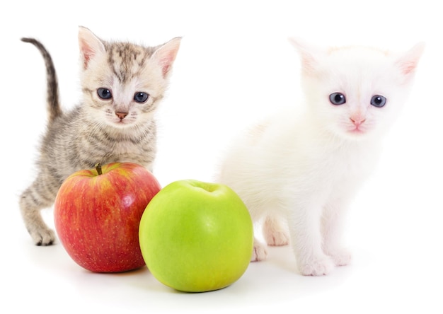 Twee kittens en twee appels