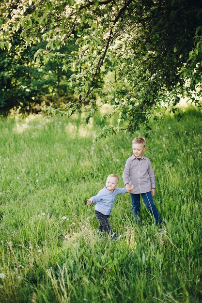 Twee kleine gelukkige broers die jeans dragen en gecontroleerde overhemden die in park lopen