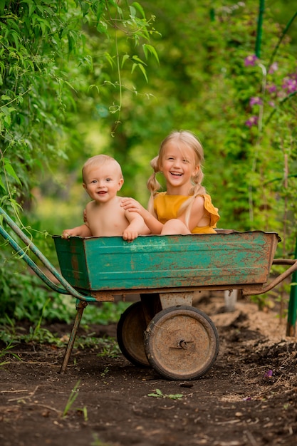 twee kleine kinderen meisje en jongen in het land in een tuin kruiwagen vergadering glimlachen