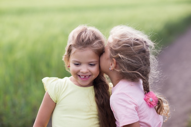 Twee kleine meisjes in een veld portret