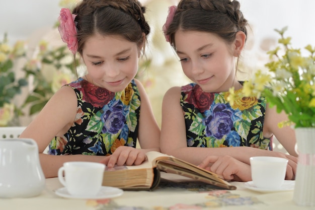 Twee kleine meisjes in gebloemde jurken die een boek lezen en thee drinken