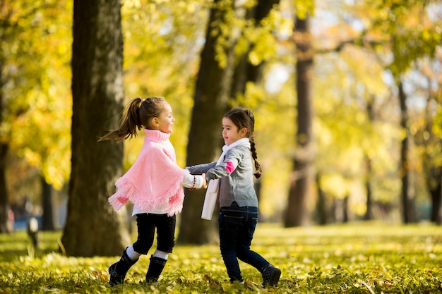 Twee kleine meisjes in het najaar park