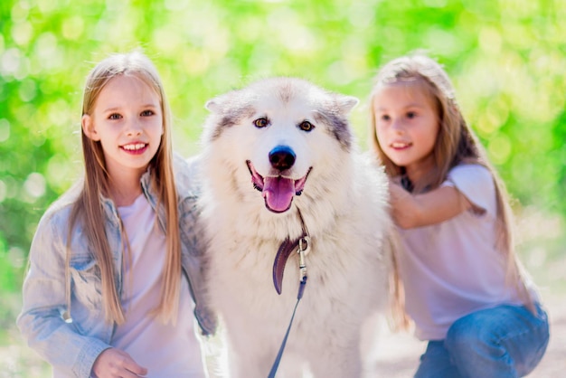 Twee kleine meisjes met een hond in het park Grote hond