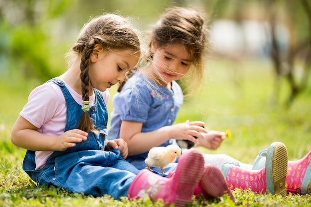 Twee kleine meisjes met kippen