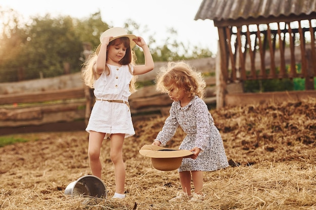 Twee kleine meisjes samen op de boerderij in de zomer met weekend