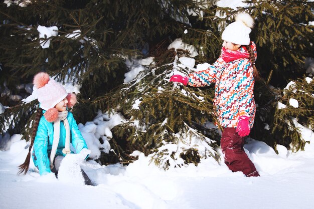 Twee kleine meisjes spelen in het winterpark