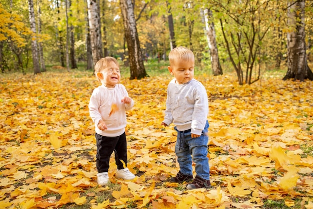 Twee kleine peuters lachen onder de vallende herfstbladeren, schattige kinderen in het herfstpark