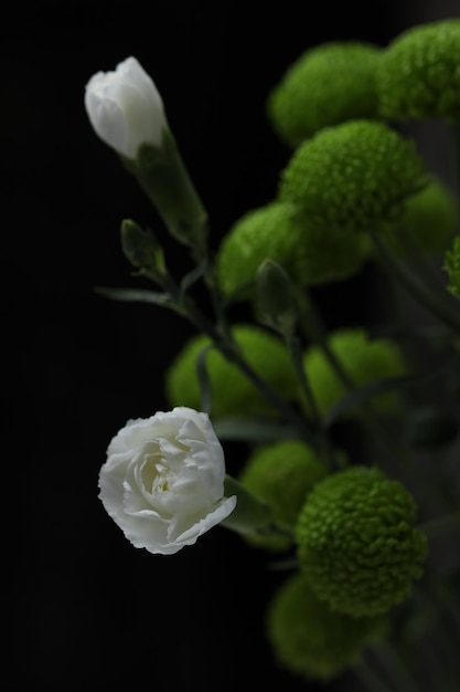 Twee kleine witte rozen sieren een boeket groene chrysanten