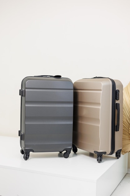 Twee koffers voor de reis Grote koffers Concept van het toerisme