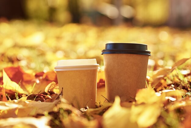 Twee kopjes koffie op gouden herfstbladeren