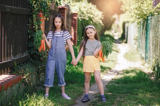 Twee lachende kleine meisjes in een tuin houden een bos verse wortelen vast