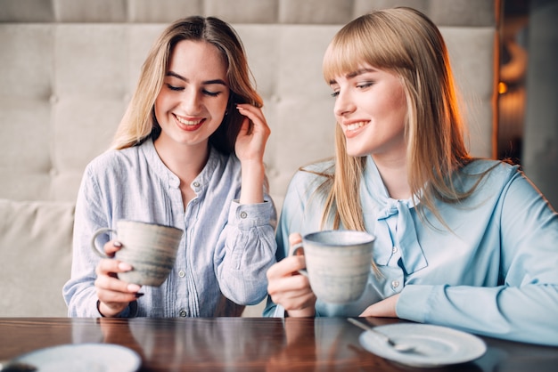 Twee lachende vriendinnen drinkt koffie aan de tafel in café. Vriendinnen zitten in restaurant, roddelaars bijeen