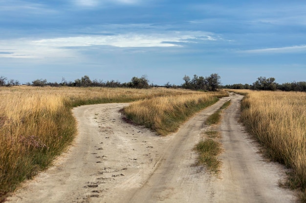 Twee landwegen in het zuidelijke steppegrasland bij de Zwarte Zee, Oekraïne