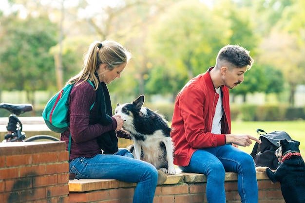 Twee mannelijke en vrouwelijke vrienden die eetbare traktaties geven aan twee honden terwijl ze op een park zitten