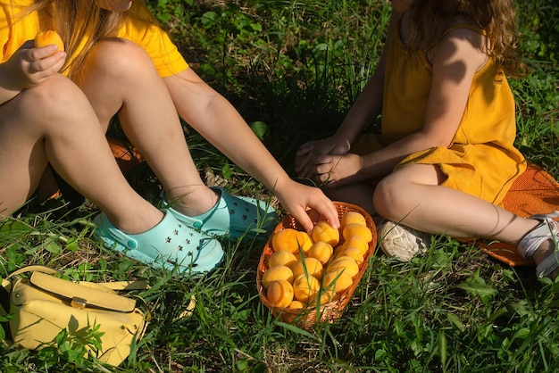 twee meisjes op een zonnige zomerdag zitten op de grond en eten rijpe abrikozen uit een rieten beker