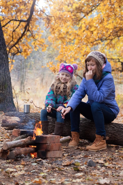 Twee meisjes op picknick