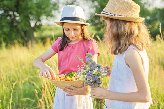 Twee meisjes op zonnige zomerdag in weiland met kom met zoete vruchten