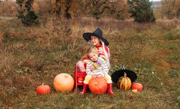 Twee meisjes zitten op een weiland en knuffelen elkaar met een heleboel grote en kleine pompoenen