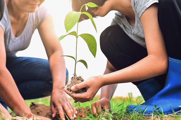 Twee mensen die en boom in aard helpen planten voor sparen aarde