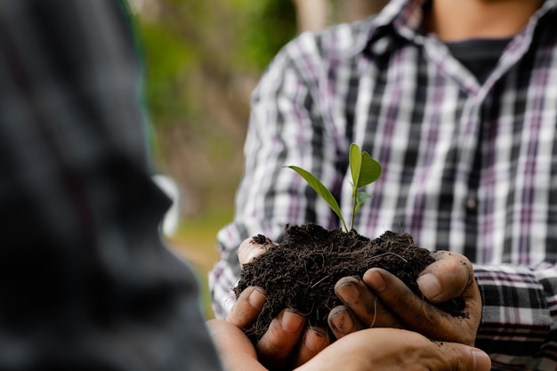 Twee mensen die jonge boompjes dragen om in een tropisch bos een boomplantcampagne te planten om het broeikaseffect te verminderen Het concept om de wereld te redden en het broeikaseffect te verminderen