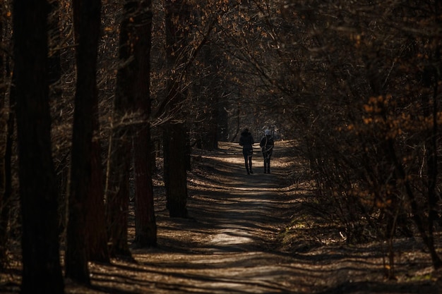 Twee mensen lopen over een pad in het bos.