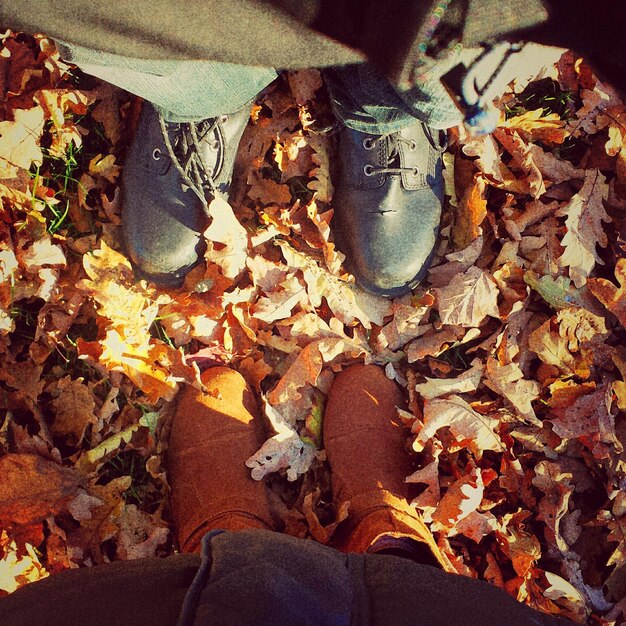 Foto twee mensen staan in de herfstbladeren.