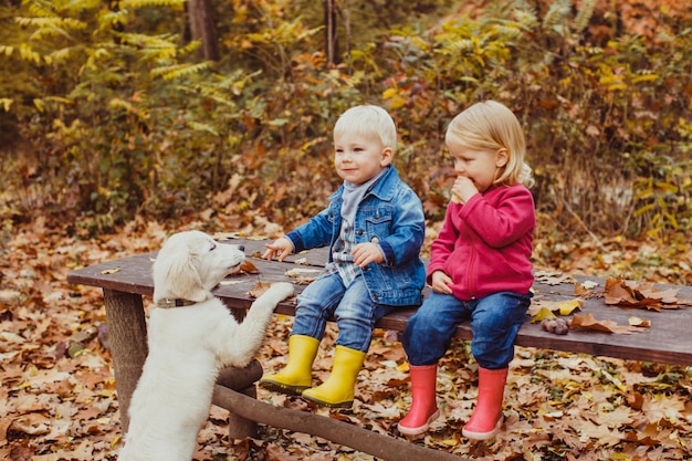 Twee mooie kleine kinderen die op de bank in het herfstpark zitten en het hondje voeren