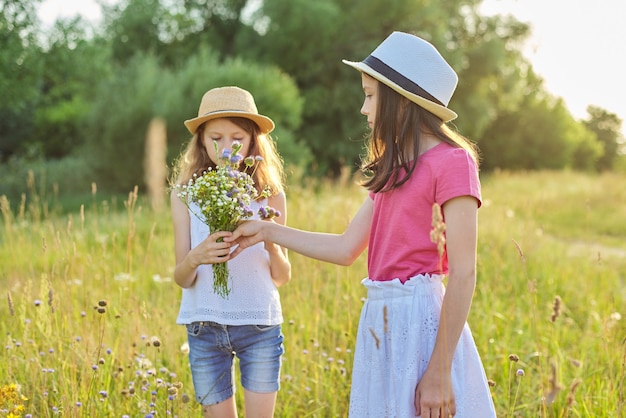 Twee mooie mooie meisjes kinderen scheuren wilde bloemen wandelen in zonnige weide, pittoresk landschap, gouden uur. Jeugd, zomer, natuur, schoonheid, kinderconcept