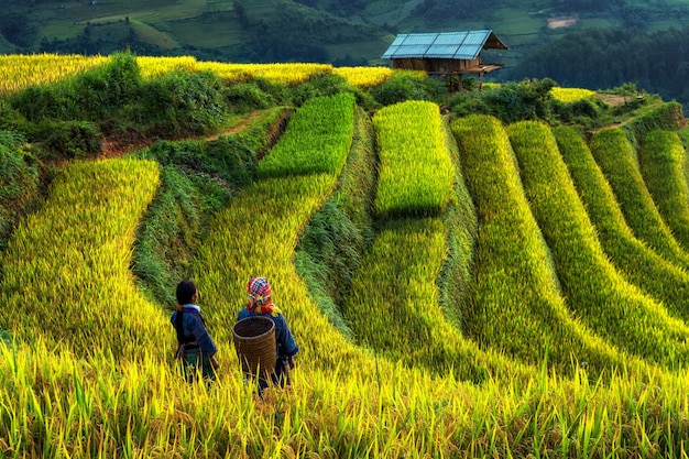 Twee ongedefinieerde Vietnamese Hmong lopen in het fantastische landschap