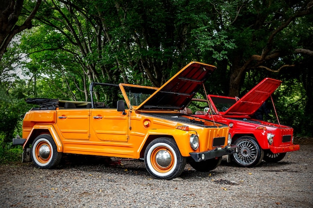 Twee oude cabrio's met open kap in de jungle.