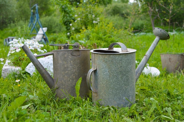 Twee oude metalen gieters staan in de zomer op het gras