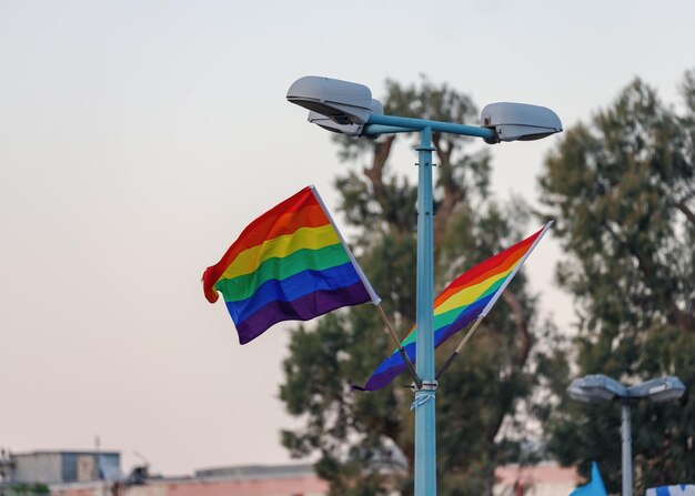 Foto twee regenboogvlaggen, symbolen van lgbtq trots, zweven in de lucht. een hoge straatlantaarn staat naast hen. op de achtergrond silhouetten van bomen en structuren en de lucht.