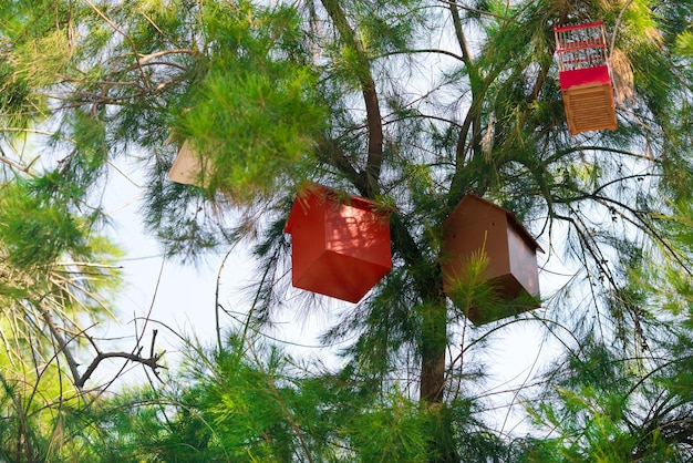 Twee rode en bruine vogelhuisjes en vogelkooi op groene naaldboom