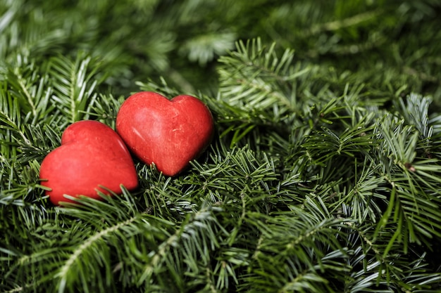 Twee rode harten op achtergrond van dennentakken. Valentijnsdag