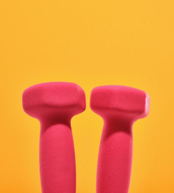 Twee roze dumbbells voor een intensieve vetverbrandingstraining thuis Gezond lichaam