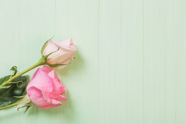 Twee roze rozen op groene houten oppervlak