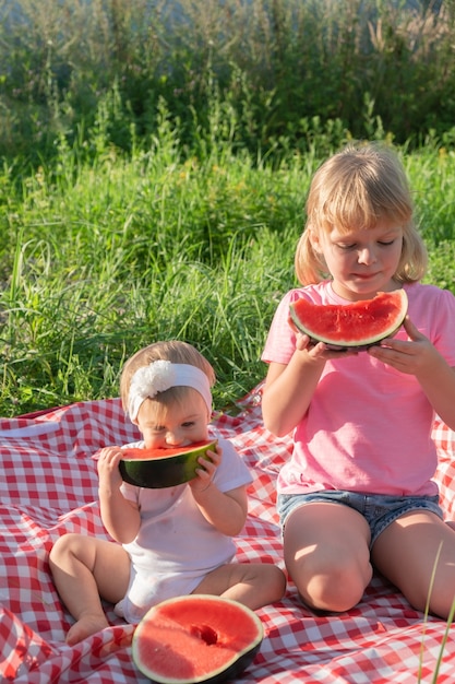 Foto twee schattige, gelukkige blanke blonde babymeisjes die glimlachen, zitten op een plaid op gras in zonnig zomerweer en genieten van het eten van watermeloen. kinderen zijn dol op vers fruit of bessen of gezond voedsel voor kinderconcept