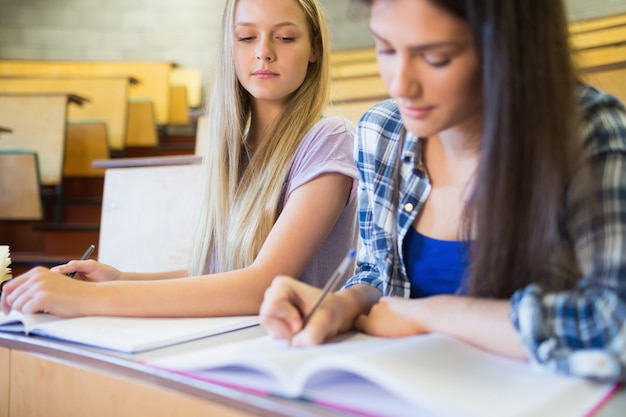 Foto twee serieuze studenten die samenwerken aan de universiteit