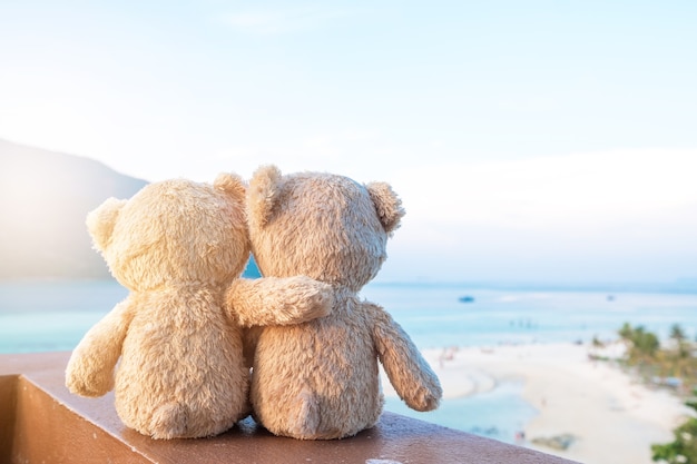 Twee teddyberen zitten uitzicht op zee. Liefde en relatie concept. Prachtig zandstrand