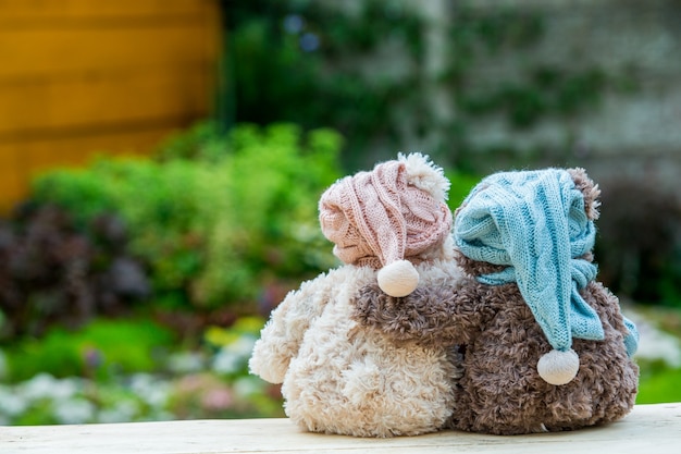 Foto twee teddyberen zittend op de bank en knuffelen elkaar, achteraanzicht.