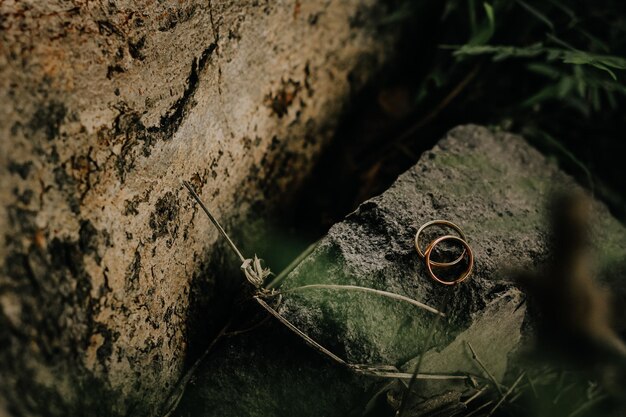 Twee trouwringen in oneindige teken op een hout Liefde concept