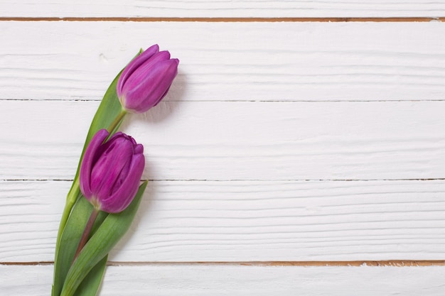 Twee tulpen op witte houten achtergrond