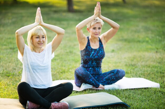 Twee volwassen vrouwen van yoga buiten in de zomer in het park