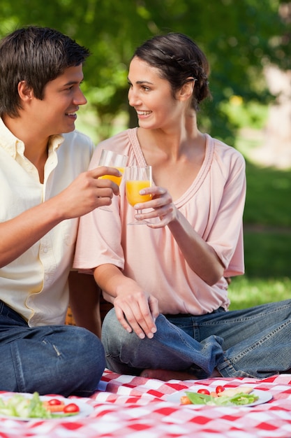 Twee vrienden die terwijl het raken van glazen sap tijdens een picknick glimlachen