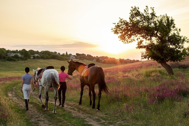 Twee vrouw en twee paarden buiten in de zomer gelukkig zonsondergang samen natuur. Het verzorgen van dieren, liefde en vriendschap concept.