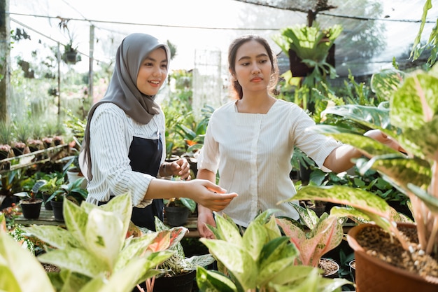 Twee vrouwelijke tuinman werken