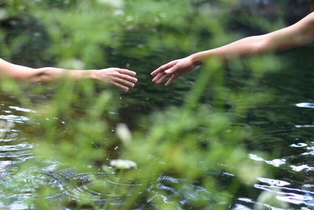 Twee vrouwenhanden zijn in het water.