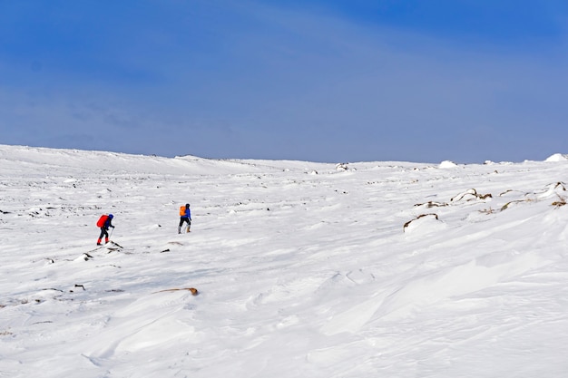 Twee wandelaars in het arctische landschap op een zonnige dag