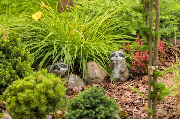 Twee wasbeer tussen de planten in de tuin